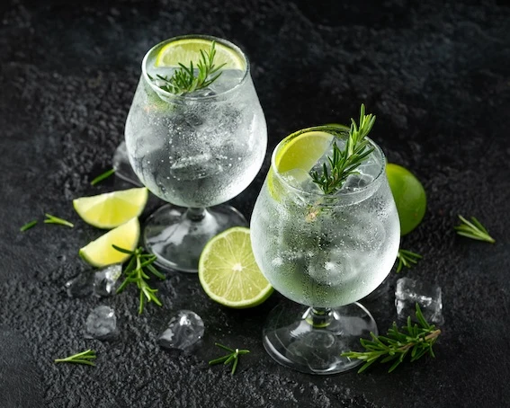 gin tonic