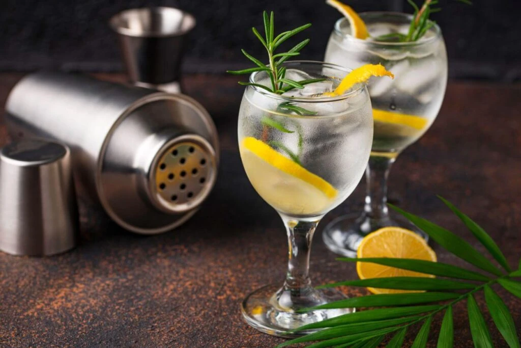 gin tonic