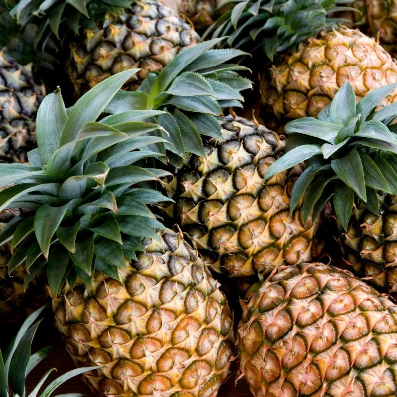 ananas