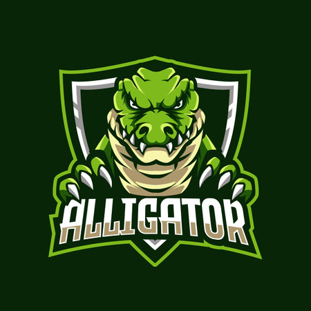 Alligator