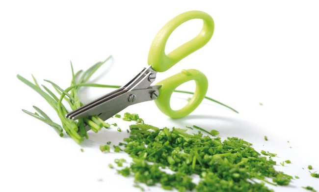 Nożyczki Herbs Mix - Prosperplast