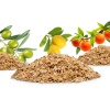 Zrębki do wędzenia Wartmann, zestaw 3 smaków: oliwka, cytryna, pomarańcza, 3 x 250 ml