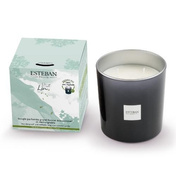 Świeca zapachowa 450g Pur Lin - Esteban