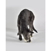 Zabawka Gumowa- Owca Nora - United Pets