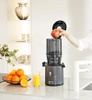 Hurom H330P Charcoal wyciskarka wolnoobrotowa, kolor antracyt