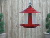 Karmnik dla ptaków czerwony - Garland