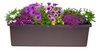 Plastia Berberis Trio Donica Samonawadniająca 117 x 39 cm - brązowy