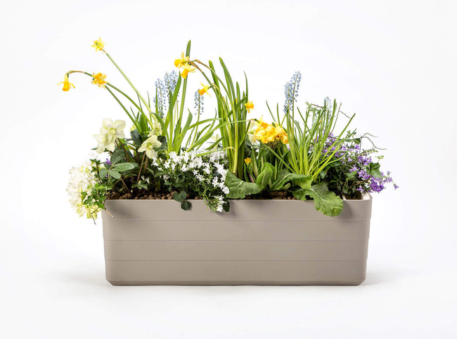 Plastia Berberis Donica Samonawadniająca Prostokątna 60 x 20 cm - jasnoszary