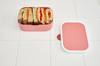 Lunch set campus forest friends 107410165408