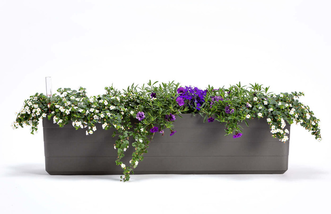 Berberis Donica Samonawadniająca Prostokątna 80 x 20 Cm, Szaro-Brązowy - Urbalive