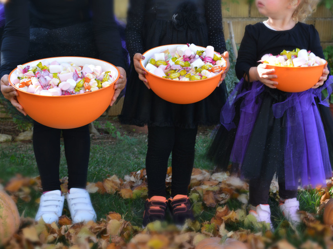 Miska Jasnozielona O Średnicy 26,5cm