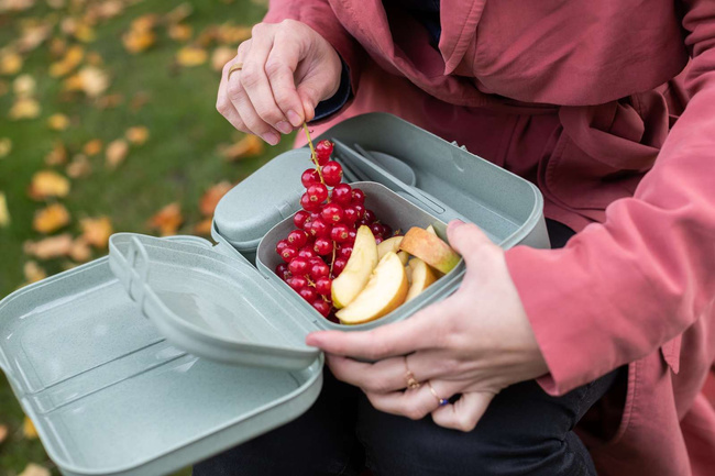 Zestaw 3 lunchboxów ze sztućcami Pascal ready organic blue - Koziol