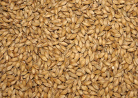 1000 g
