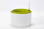 Plastia Berberis Donica Samonawadniająca Okrągła 26 Cm - Biały