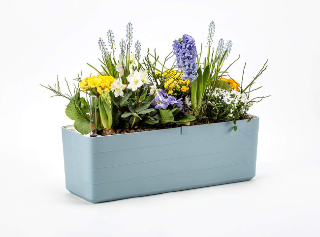 Plastia Berberis Donica Samonawadniająca Prostokątna 60 X 20 Cm - Błękitny