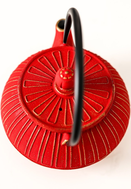 Czajnik żeliwny z zaparzaczem 0,6 l, Zest for Life