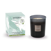 Świeca zapachowa 180g Pur Lin - Esteban