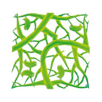zielony