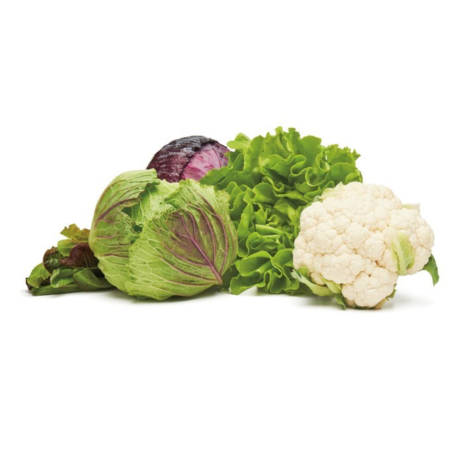 Pojemnik na warzywa i owoce Greensaver - 4 L Oxo