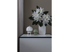Hoptimist Bumble M White 26104
