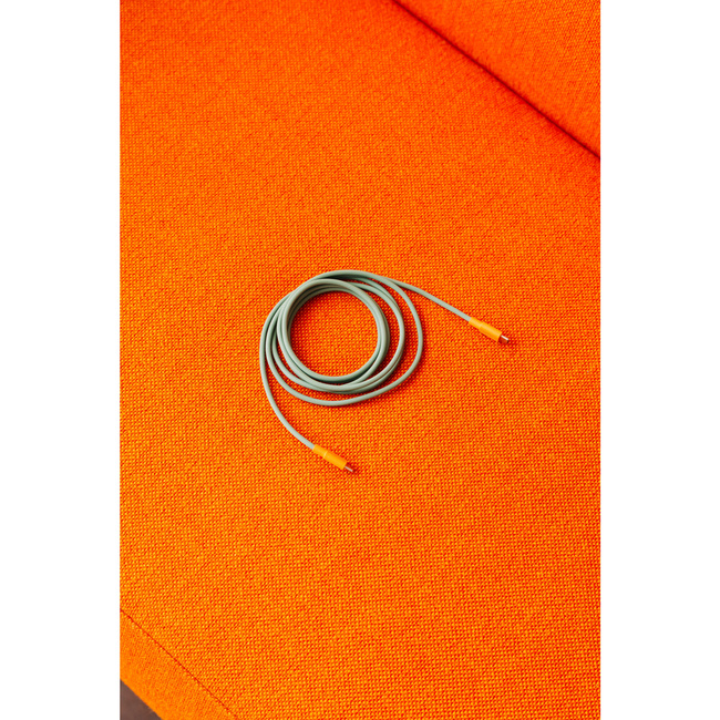 Cable 1 Usb-C Bauhaus 2 M Gecko Bloom - Avolt