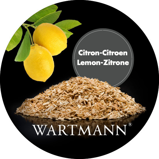 Wędzarka ręczna Wartmann WM-2402 ST czarna ze zrębkami w 3 smakach