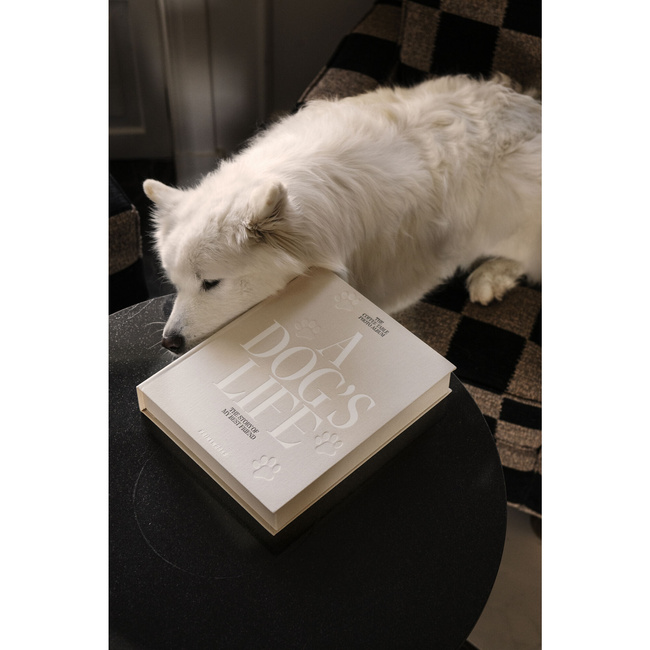 wkładki do albumów dla psów a dog's life - Printworks