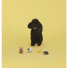 Zabawka Gumowa- Owca Nora - United Pets