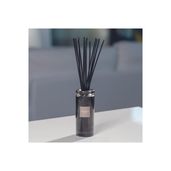 Dyfuzor zapachowy 100ml Ambre - Esteban