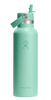 Butelka termiczna Hydro Flask Standard Mouth 21 oz (621 ml) ze słomką Flex Straw, Mermaid Green