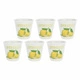  Limoncello 