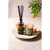 Świeca Grapefruit Shores 210 g - Max Benjamin