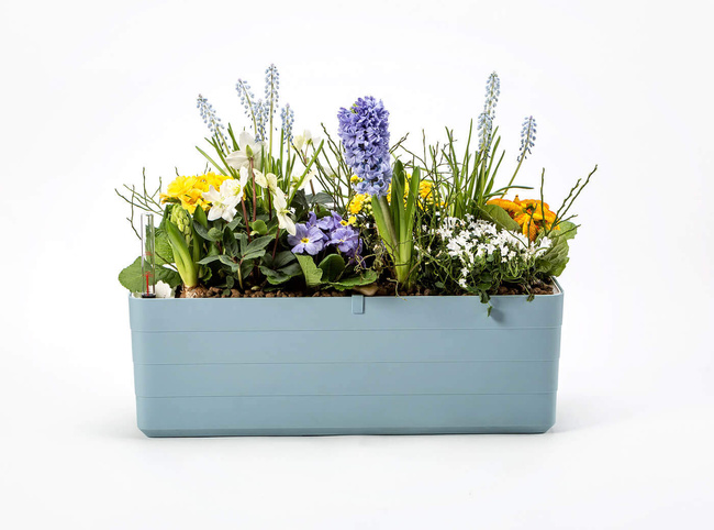 Plastia Berberis Donica Samonawadniająca Prostokątna 60 X 20 Cm - Błękitny