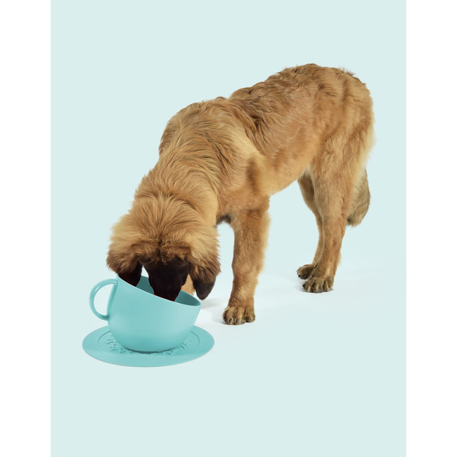 Miska dla psa Cup 2500 ml niebieska United Pets