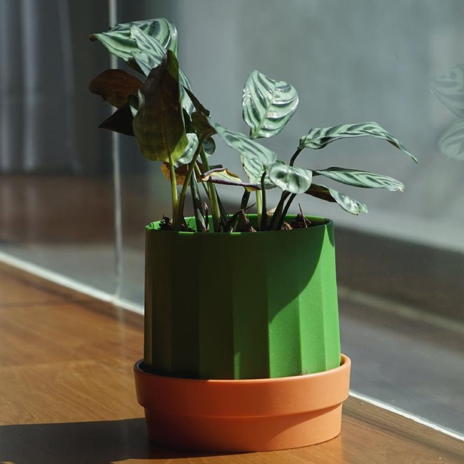 Pojemnik na papier Cactiss biało-zielony 10276-wh-gn