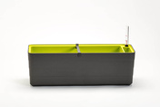 Plastia Berberis Donica Samonawadniająca Prostokątna 60 x 20 cm - szaro-brązowy
