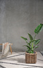 Kosze na rośliny z rattanu Villa Collection Nature, 2 sztuki, 40 i 29 cm