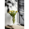 Wazon szklany Ichendorf Milano Bouquet Vasi Optic, 40 cm