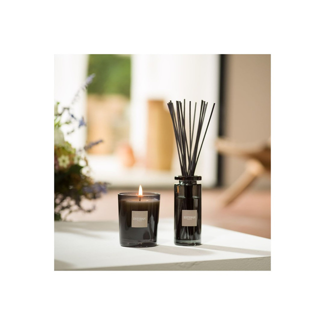 Dyfuzor zapachowy 100ml Ambre - Esteban