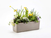Plastia Berberis Donica Samonawadniająca Prostokątna 60 x 20 cm - jasnoszary