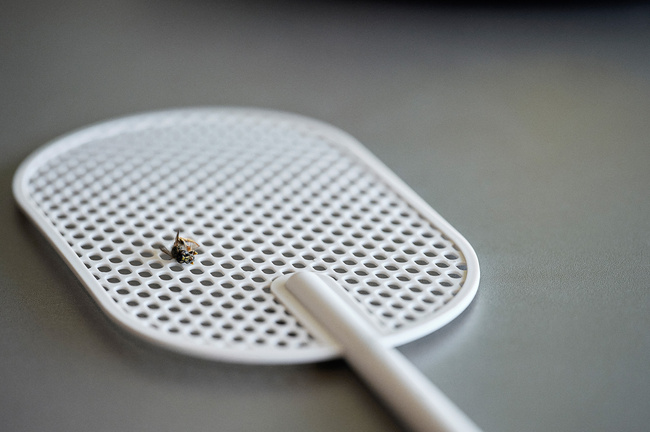 Łapka na muchy Singles Black - Zone Denmark