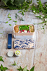 Lunchbox Bento Original, Graphic Ginkgo - Monbento