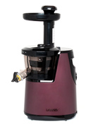 Wyciskarka wolnoobrotowa pionowa do soków Greenis F-9010 srebrna 150W 65obr/min BLDC