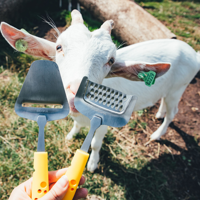 Nóż łopatka Do Sera Cheesy