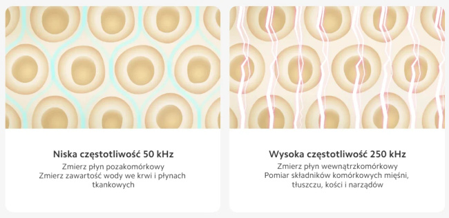 Xiaomi Body Composition Scale S400 | Waga łazienkowa | 0.1 kg - 150 kg, Bluetooth 5.0, 3x Aaa