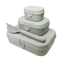 Zestaw 3 Lunchboxów Ze Sztućcami Pascal Ready Organic Szary 3168668 - Koziol