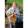 Grządka ogrodowa 230 l Garland