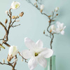Kwiat magnolia 140 biały Fiore - Leonardo