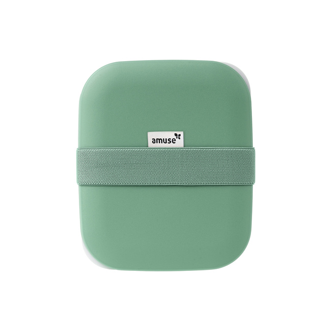 Lunchbox 3 W 1 - Sage