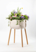 Kwietnik domowy 77 x 50 x 38 cm, kremowy - Urbalive